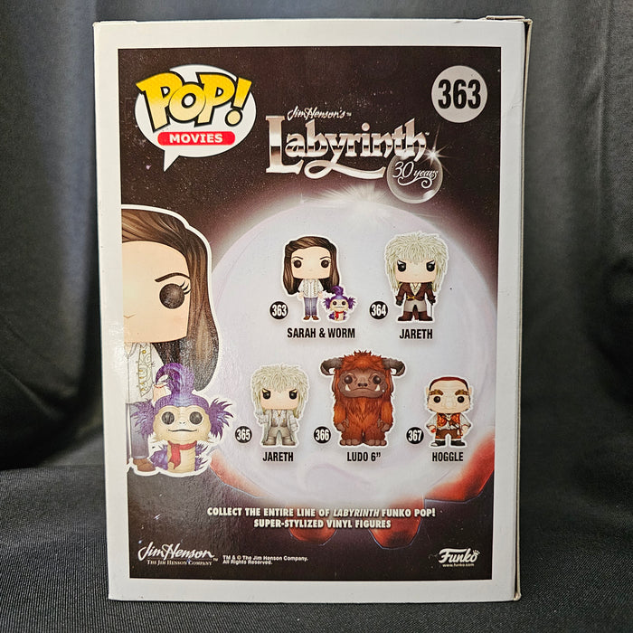 Labyrinth Pop! Vinyl Figure Sarah and Worm [363] - Fugitive Toys