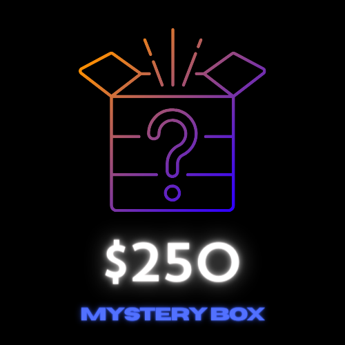 $250 Mystery Box - Fugitive Toys