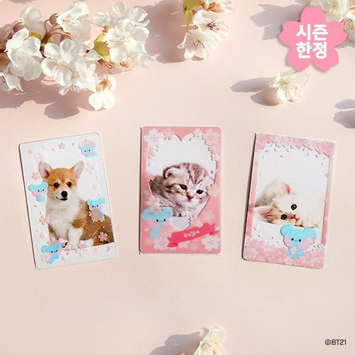 BT21 Cherry Blossom Minini Photo Card Frame - Koya - Fugitive Toys