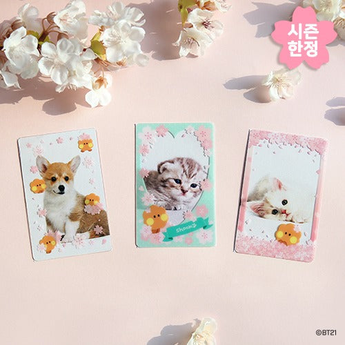 BT21 Cherry Blossom Minini Photo Card Frame - Shooky - Fugitive Toys