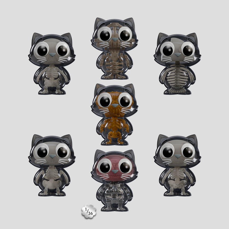 Kaleidos Creative Presents CATSCANS Bare Bones [1 Blind Box] - Fugitive Toys