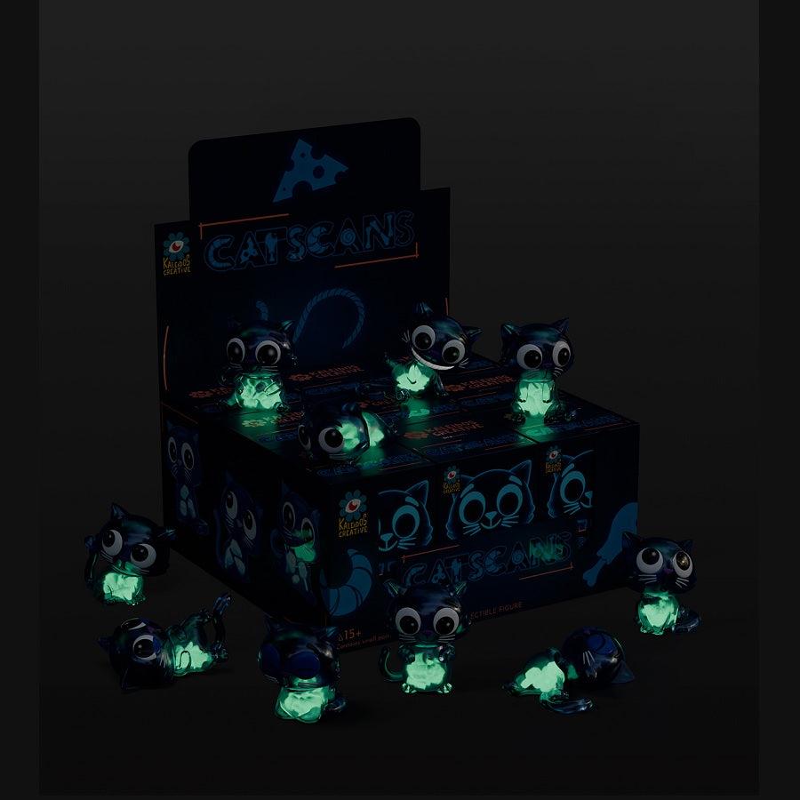 Kaleidos Creative Presents CATSCANS [1 Blind Box] - Fugitive Toys