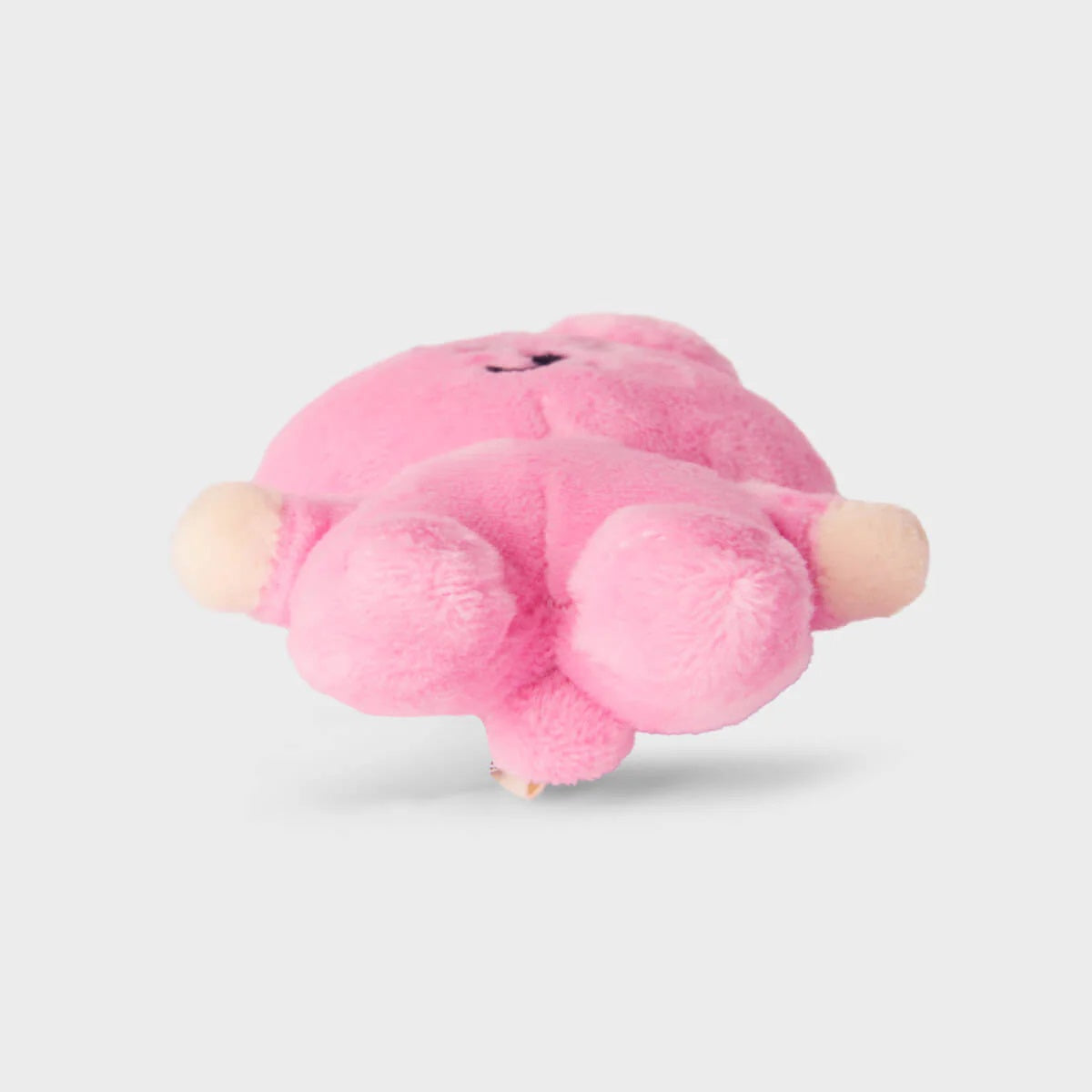 BT21 Mini BIG & TINY Edition Luggage Plush Doll - Cooky - Fugitive Toys