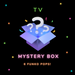 TV Mystery Box [6 Random Funko Pops!] - Fugitive Toys
