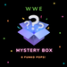 WWE Mystery Box [6 Random Funko Pops!] - Fugitive Toys