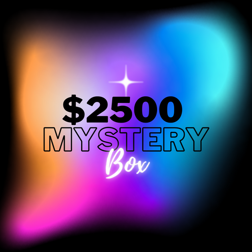 $2500 Mystery Box - Fugitive Toys