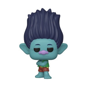 Trolls World Tour Pop! Vinyl Figure Branch (Sad) (Chase) [880] - Fugitive Toys