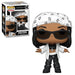 Rocks Pop! Vinyl Figure Aaliyah [209] - Fugitive Toys