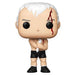 Movies Pop! Vinyl Figure Roy Batty (Chase) [Blade Runner] [1034] - Fugitive Toys